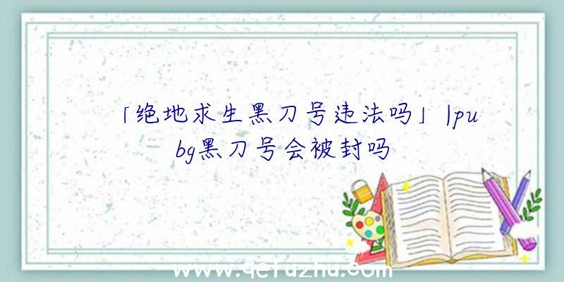 「绝地求生黑刀号违法吗」|pubg黑刀号会被封吗